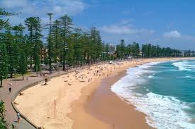 manly beach 1